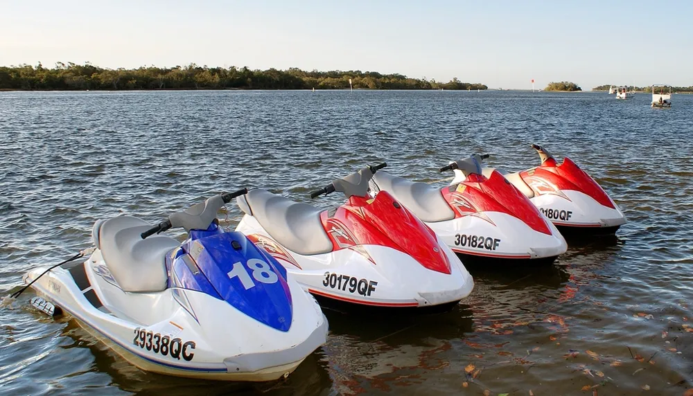 Row of personal watercraft floating near shore